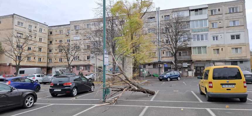 Timişoara: Tânăr rănit în timp ce ajuta la ridicarea unui panou luat de vânt/ Un acoperiş si mai mulţi copaci au fost doborâţi de rafale