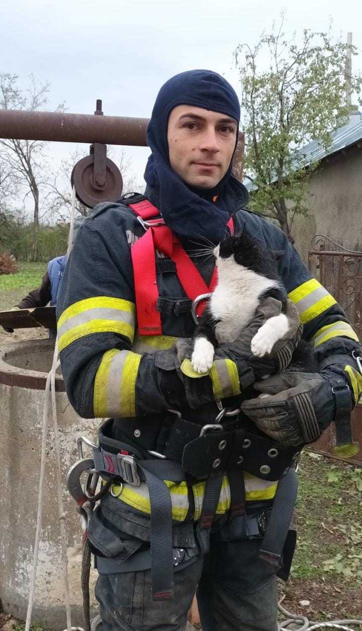 Buzău - Pompierii au salvat o pisică dintr-o fântână adâncă de 16 metri - FOTO