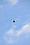 Persoană amendată de jandarmi, după ce a ridicat în aer o dronă pentru a filma parada de 1 Decembrie de la Alba Iulia