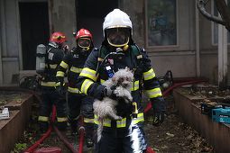 UPDATE - Incendiu în centrul Capitalei. Focul se manifestă în interiorul fostului restaurant Mărul de Aur - şi la acoperişul clădirii / Doi căţei, salvaţi de pompieri - FOTO, VIDEO