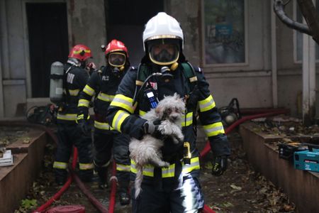 UPDATE - Incendiu în centrul Capitalei. Focul se manifestă în interiorul fostului restaurant Mărul de Aur - şi la acoperişul clădirii / Doi căţei, salvaţi de pompieri - FOTO, VIDEO