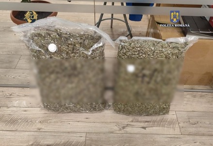 Timiş: Cantitate de nouă kilograme de cannabis, trimisă în colet, din Spania/ Un bărbat de 70 de ani a preluat pachetul cu droguri