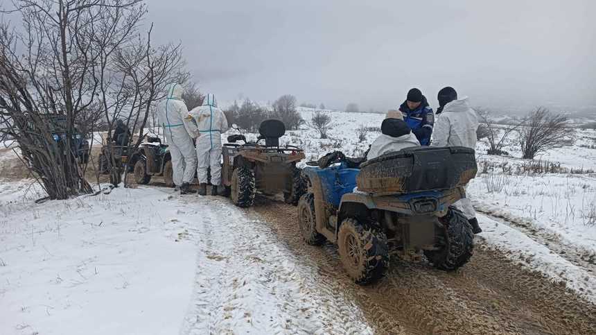 Braşov: Amenzi totale de 10.000 de lei pentru 10 conducători de ATV-uri care au intrat cu vehiculele pe dealul Muscelului din Zărneşti - VIDEO
