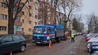 Timişoara: O femeie a fost dusă de urgenţă la spital, după ce i-a căzut o creangă de copac în cap/ Ea a intrat într-o zonă delimitată, unde aveau loc lucrări de toaletare a pomilor
