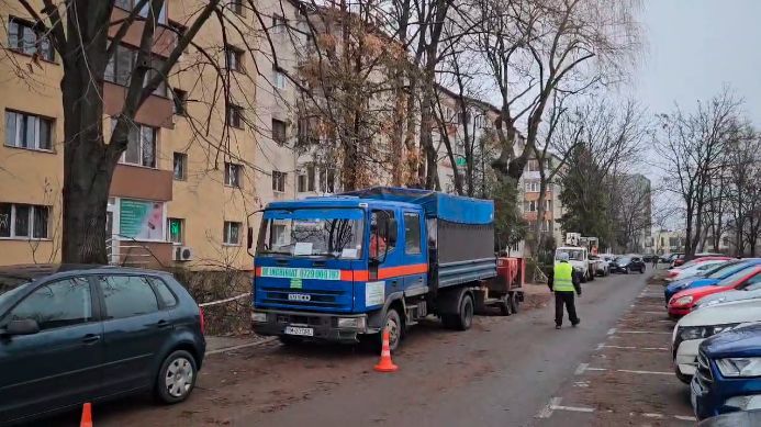 Timişoara: O femeie a fost dusă de urgenţă la spital, după ce i-a căzut o creangă de copac în cap/ Ea a intrat într-o zonă delimitată, unde aveau loc lucrări de toaletare a pomilor
