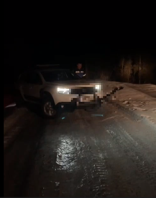 Cluj: Trei turişti rămaşi blocaţi cu maşina într-o zonă cu gheaţă din Valea Ierii, recuperaţi de jandarmi - VIDEO