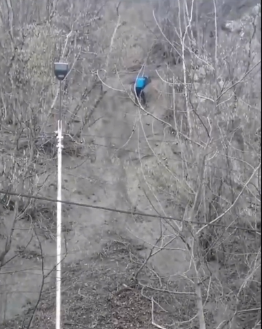 Buzău: Intervenţie a jandarmilor şi pompierilor pentru salvarea unui câine care a căzut într-o râpă adâncă de 30 de metri - VIDEO