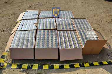 Bărbat din Craiova, arestat pentru contrabandă – Într-un container care-i aparţinea poliţiştii au găsit aproape 6 milioane de ţigări, pe care le vindea pe piaţa internă / Cinci zile a fost căutat de poliţişti
