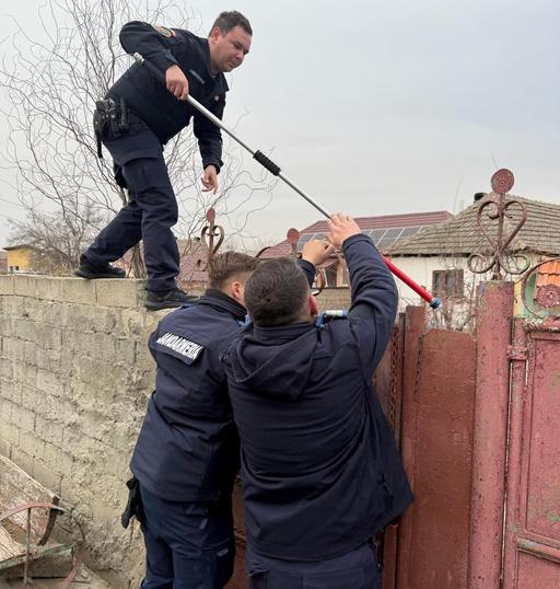 Mehedinţi: Un bărbat s-a închis în casă pentru că i-a fost frică de câinele său, care devenise agresiv / El a cerut ajutorul jandarmilor pentru a ieşi din locuinţă 