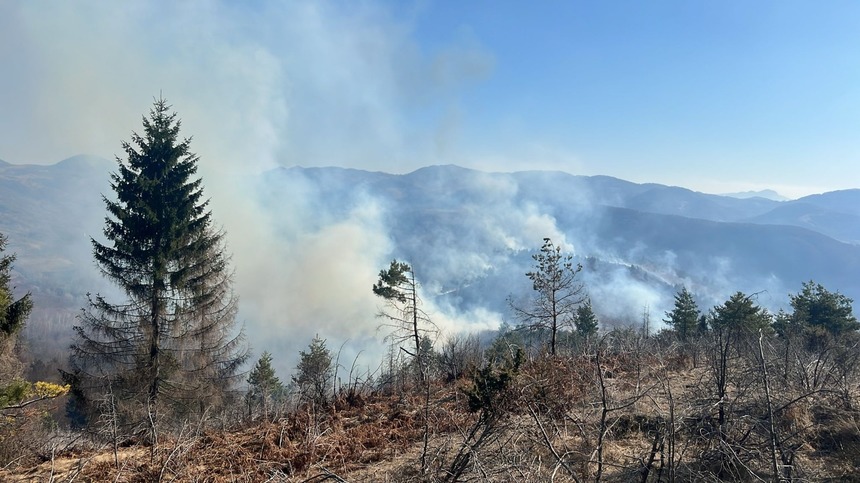 Hunedoara: Incendii de vegetaţie în nouă localităţi din judeţ / Intervin pompierii