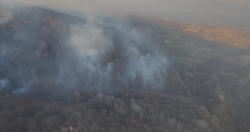 Caraş-Severin: Zeci de pompieri intervin pentru stingerea incendiilor de vegetaţie / Flăcările au cuprins zeci de hectare din 17 localităţi, până la ora 18.00