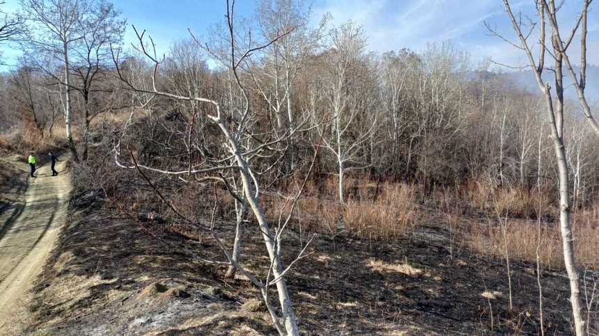 Vâlcea: Un bărbat de 78 de ani a murit în urma unui incendiu de vegetaţie / Poliţiştii fac cercetări 
