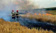 Peste 3.500 de hectare de teren afectate de arderile de vegetaţie, în doar 24 de ore/ Cele mai multe incendii, provocate de arderile necontrolate în 14 judeţe/ Cele mai afectate, Caraş-Severin, Hunedoara şi Alba/ Doi răniţi, în Ilfov