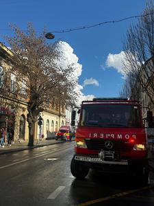 Bătrân lovit mortal de un arbore doborât de vânt, în judeţul Vrancea

