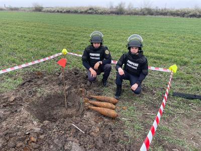 Trei bombe de aruncător, din Al Doilea Război Mondial, găsite pe un câmp lângă Timişoara - FOTO

