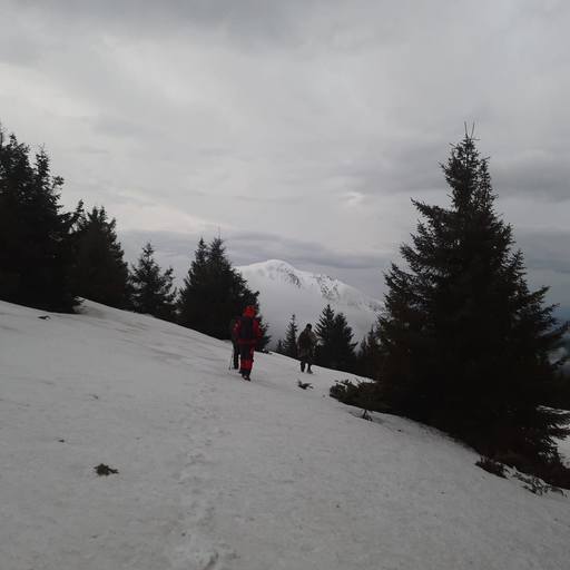 Maramureş: Acţiune dificilă pentru recuperarea unui ucrainean aflat în stare gravă, hipotermic şi cu degerături. A fost solicitat un elicopter care s-a retras, din cauza plafonului de nori