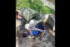 Adolescentul din Bihor filmat în timp ce bate un copil, într-un parc din Ştei, plasat în arest la domiciliu