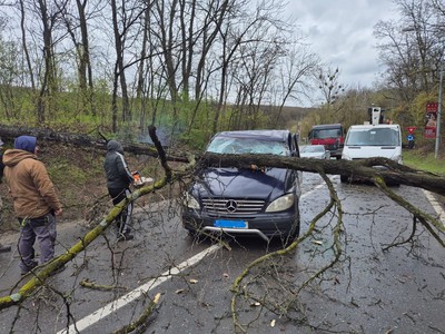 Copac căzut peste o maşină în care se aflau trei persoane, în municipiul Iaşi