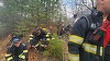 UPDATE - Prefectul de Argeş anunţă că incendiul puternic care a afectat peste 30 de hectare de pădure a fost „momentan lichidat”/ Zona va fi monitorizată şi luni, pentru a se evita reaprinderea focului/ Şeful ISU, despre posibilele cauze VIDEO