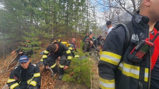 UPDATE - Prefectul de Argeş anunţă că incendiul puternic care a afectat peste 30 de hectare de pădure a fost „momentan lichidat”/ Zona va fi monitorizată şi luni, pentru a se evita reaprinderea focului/ Şeful ISU, despre posibilele cauze VIDEO
