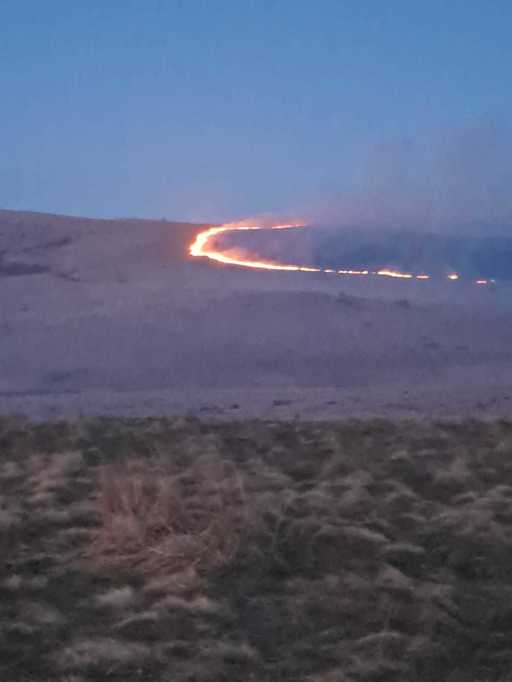 Maramureş: Incendiul de vegetaţie uscată din zona Runcu a afectat aproximativ 200 de hectare / Pompierii au reuşit să limiteze extinderea la fondul forestier / S-a intervenit cu drona - FOTO