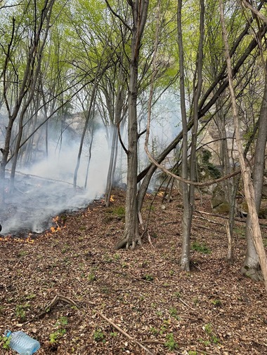 Argeş: Incendiul de pădure izbucnit într-o zonă greu accesibilă din comuna Cetăţeni, stins/ Focul ar fi pornit de la o ţigară aprinsă aruncată în zona forestieră