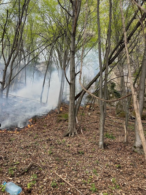 Argeş: Incendiul de pădure izbucnit într-o zonă greu accesibilă din comuna Cetăţeni, stins/ Focul ar fi pornit de la o ţigară aprinsă aruncată în zona forestieră