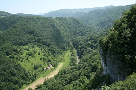 Un bărbat a murit după ce a fost prins sub un tractor, într-o pădure din judeţul Vrancea/ El făcea lucrări pentru Ocolul Silvic Soveja, dar nu era angajat al acestuia/ IPJ şi ITM au deschis anchete
