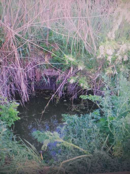Galaţi: Băiat de cinci ani, mort după ce a căzut într-un puţ cu apă, în apropierea locuinţei