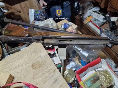 Suceava: Percheziţii la locuinţe deţinute de bărbatul reţinut după ce a împuşcat un câine fără stăpân/ Au fost găsite o altă armă deţinută ilegal şi muniţii