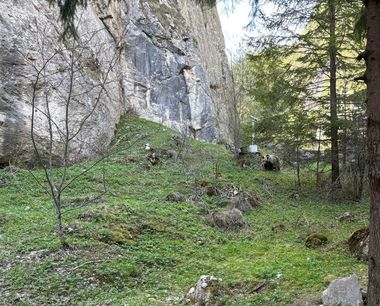 Neamţ: Intervenţie a jandarmilor după ce un urs şi-a făcut apariţia în apropierea unei pensiuni, în zona Rezervaţiei Cheile Şugăului–Munticelu