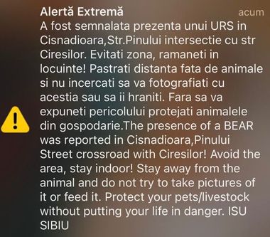 Mesaj RO-Alert transmis în zona din jurul municipiului Sibiu, după ce a fost semnalată prezenţa unui urs într-o zonă turistică