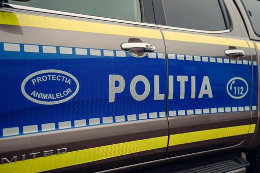 Tânăr din Ialomiţa, reţinut pentru uciderea intenţionată a unui câine / Ar fi trecut cu maşina peste animal