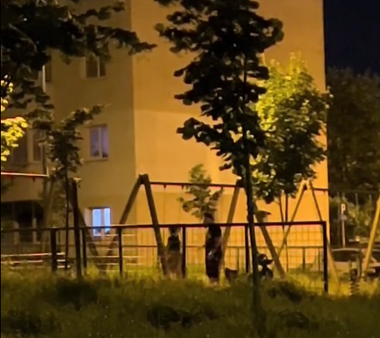 Imagini cu un bărbat care îşi bate soţia într-un loc de joacă din Braşov, în timp ce copilul se dă pe leagăn, publicate online / Poliţia a deschis dosar penal / Bărbatul era băut şi nervos din cauza pierderii unor bani - VIDEO