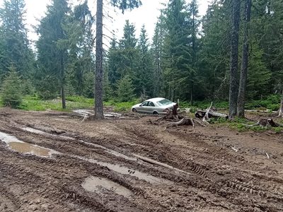Persoană rătăcită în Munţii Călimani, după ce a pătruns pe un drum forestier izolat - FOTO