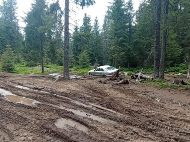 Persoană rătăcită în Munţii Călimani, după ce a pătruns pe un drum forestier izolat - FOTO