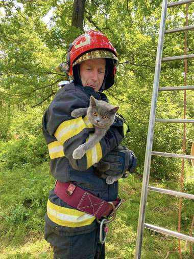 Trei intervenţii ale pompierilor din Argeş, într-o singură zi, pentru salvarea unor pui de animale. Un pui de căprioară, o pisică şi trei căţei, salvaţi din medii ostile - FOTO
