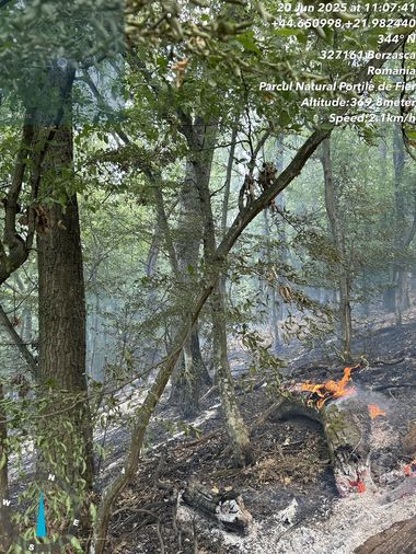 Caraş-Severin: De trei zile pompierii intervin pentru stingerea unor incendii de vegetaţie pe Clisura Dunării/ În acţiune sunt implicate şi două elicoptere - FOTO
