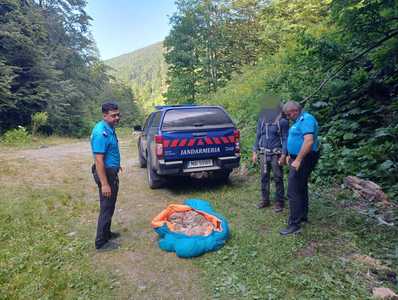 Intervenţie inedită a jandarmilor montani din Braşov: la solicitarea unor turişti, au salvat un câine de talie mare, care nu se mai putea deplasa. Animalul a fost dus la veterinar