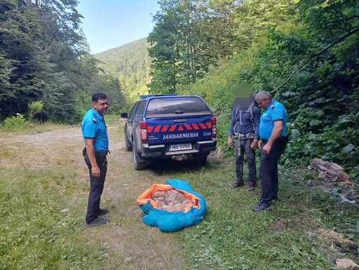 Intervenţie inedită a jandarmilor montani din Braşov: la solicitarea unor turişti, au salvat un câine de talie mare, care nu se mai putea deplasa. Animalul a fost dus la veterinar