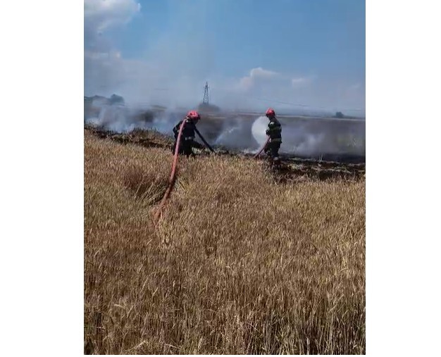 Incendiu de vegetaţie pe marginea DN 1, în zona centurii de vest a Ploieştiului. Autorităţile au emis mesaj RO-Alert - FOTO, VIDEO