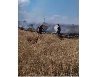 Incendiu de vegetaţie pe marginea DN 1, în zona centurii de vest a Ploieştiului. Autorităţile au emis mesaj RO-Alert - FOTO, VIDEO