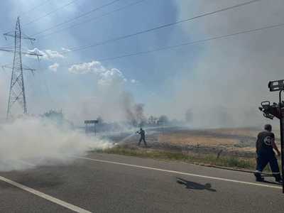 Dolj: Incendiu puternic de vegetaţie uscată la Maglavit / Suprafaţa afectată este de 70 – 80 hectare / Traficul rutier în zonă a fost deviat VIDEO