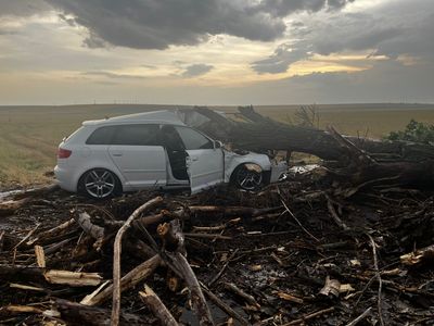 Teleorman: Un copac doborât de vânt a căzut peste o maşină în care se aflau două femei şi doi copii/ Toate cele patru persoane, transportate la spital - FOTO