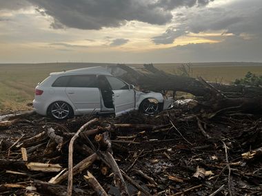 Teleorman: Un copac doborât de vânt a căzut peste o maşină în care se aflau două femei şi doi copii/ Toate cele patru persoane, transportate la spital - FOTO