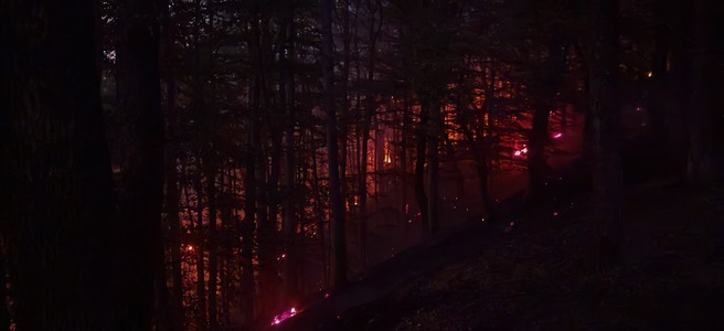 Alba: Pompierii luptă în continuare să stingă focul care a cuprins litiera de pădure în zona loclităţilor Pianu- Săsciori - Şugag