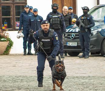 Prezenţa unui animal care pare a fi pantera neagră dispărută din Bulgaria, semnalată într-o localitate din judeţul Teleorman