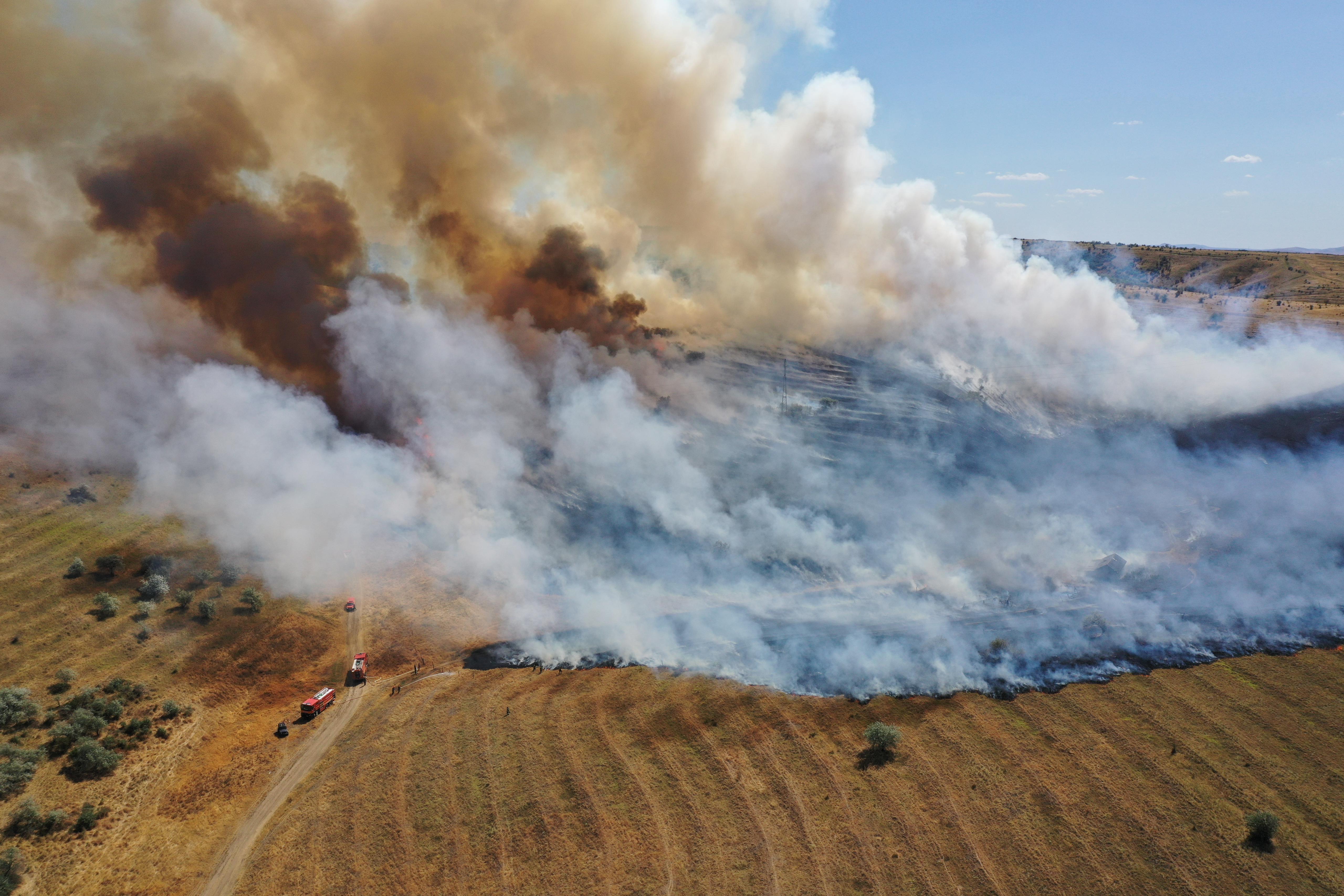 Tulcea: Peste 40 de pompieri intervin la un puternic incendiu de vegetaţie uscată / Există riscul extinderii focului şi către gospodării, terenuri agricole şi o zonă împădurită 