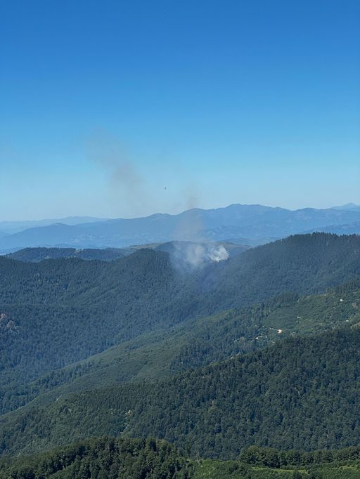 Maramureş: Incendiu de fond forestier în Masivul Ţibleş / Un elicopter Black Hawk al Inspectoratului General de Aviaţie este deja în drum spre zona afectată
