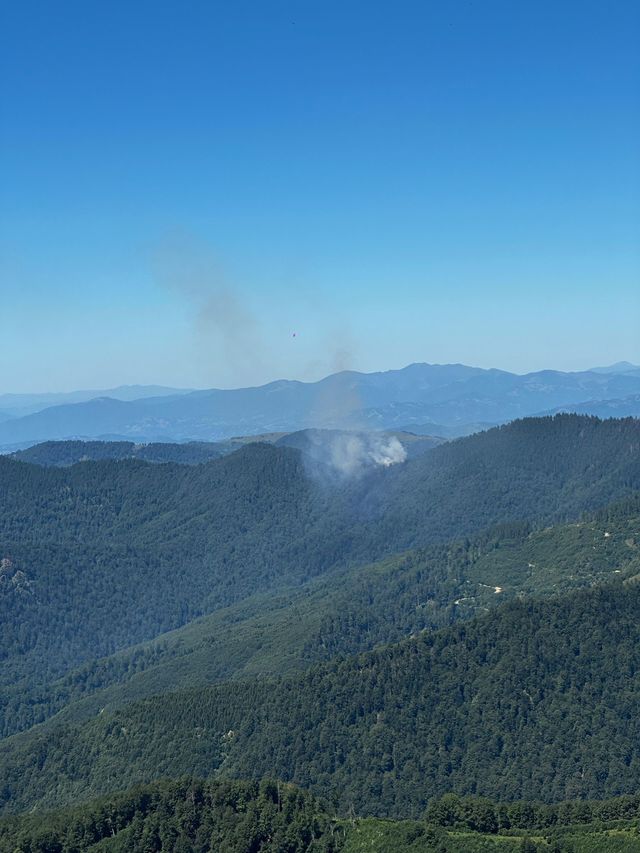 Maramureş: Incendiu de fond forestier în Masivul Ţibleş / Un elicopter Black Hawk al Inspectoratului General de Aviaţie este deja în drum spre zona afectată